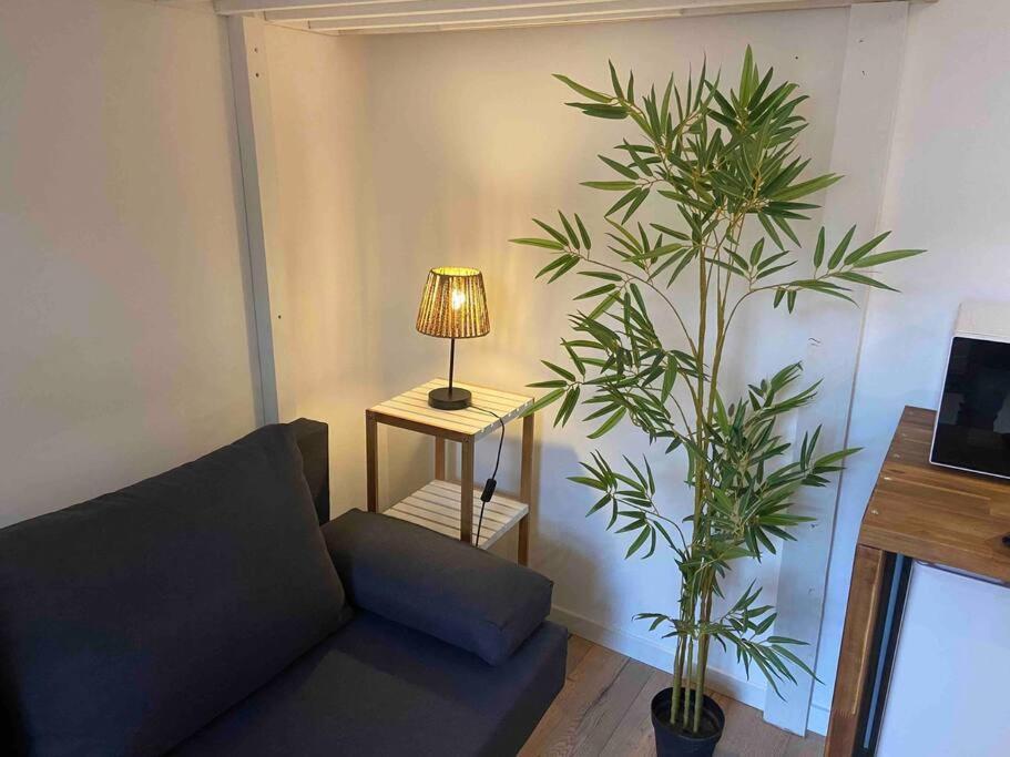 Charmant Studio فييرزو المظهر الخارجي الصورة